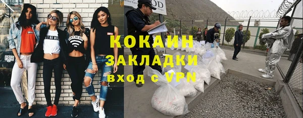 дживик Алексин