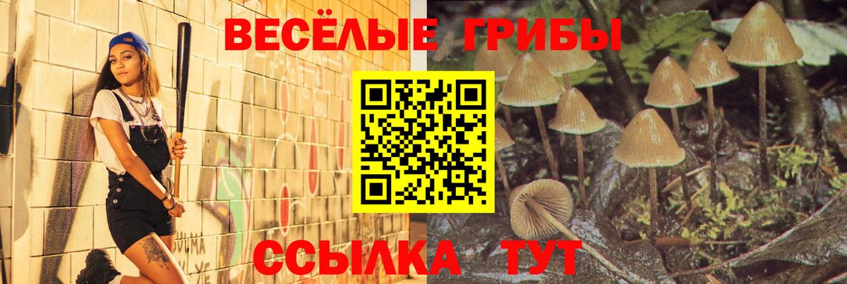 Галлюциногенные грибы прущие грибы Набережные Челны